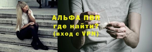 прущие грибы Зеленокумск