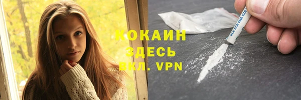 прущие грибы Зеленокумск