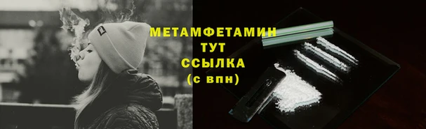 прущие грибы Зеленокумск
