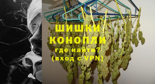 прущие грибы Зеленокумск