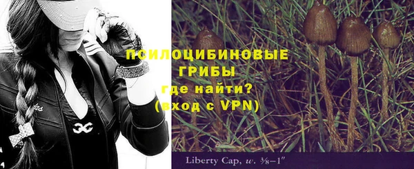 прущие грибы Зеленокумск