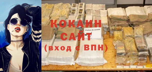 прущие грибы Зеленокумск