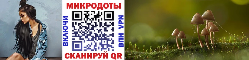 Купить где  Муравленко  Псилоцибиновые грибы Psilocybine cubensis 